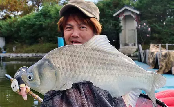 吉田康雄のザ・チャレンジへらぶな　【ダブルは狙ってこそ価値がある#2】