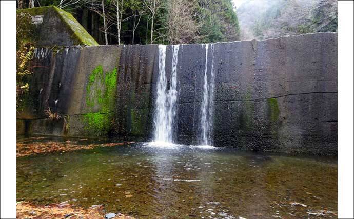 解禁2日目の渓流釣りで26cmニジマスを手中【滋賀・田村川】アマゴやイワナも登場