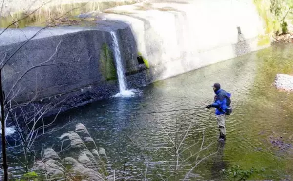 「解禁2日目の渓流釣りで26cmニジマスを手中【滋賀・田村川】アマゴやイワナも登場」の画像
