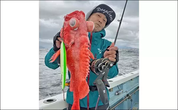 「深海600mのディープジギングでアコウダイ手中【静岡・新島沖】本命アブラボウズは目前で痛恨バラシ」の画像