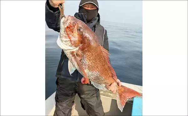 「ジギングで希少なサクラマスが登場！ワラサも連発【沖釣りピックアップ4選・北陸】」の画像