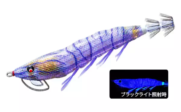 「ボートエギングで2kg超えアオリイカが堂々浮上！【熊本・天草】キャスティングにヒット」の画像