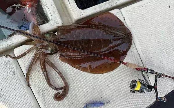 「ボートエギングで2kg超えアオリイカが堂々浮上！【熊本・天草】キャスティングにヒット」の画像