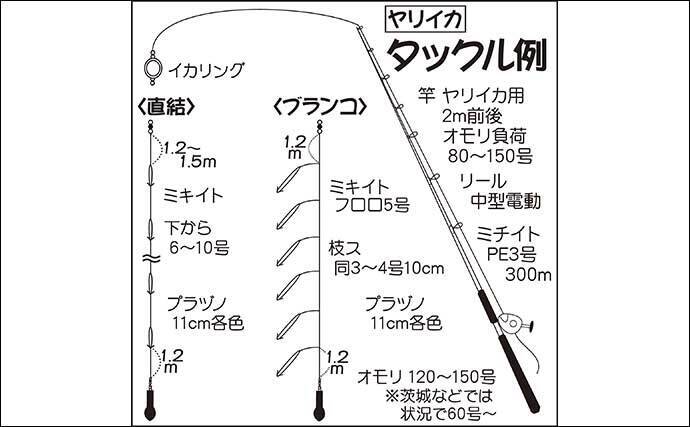 22関東 船ヤリイカ釣り入門解説 タックル 釣り方 釣況を紹介 22年1月13日 エキサイトニュース