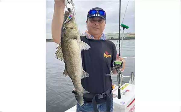「「秋のボートルアーシーバス釣りが開幕！」50cm級が連続ヒット【愛知・三河湾】」の画像