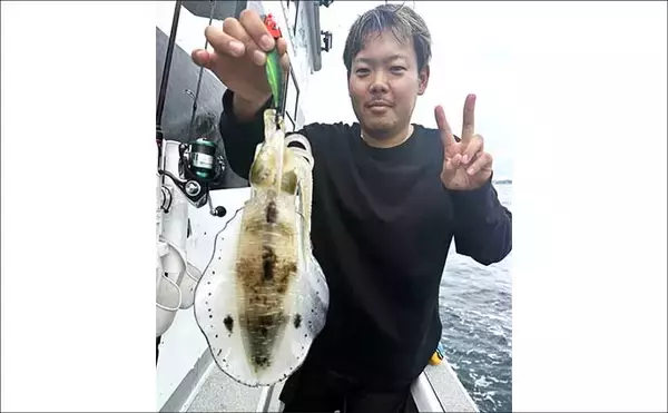 「【沖釣りルアー釣果速報】ティップランで釣る人16匹！志摩沖のアオリイカが高活性（三重）」の画像