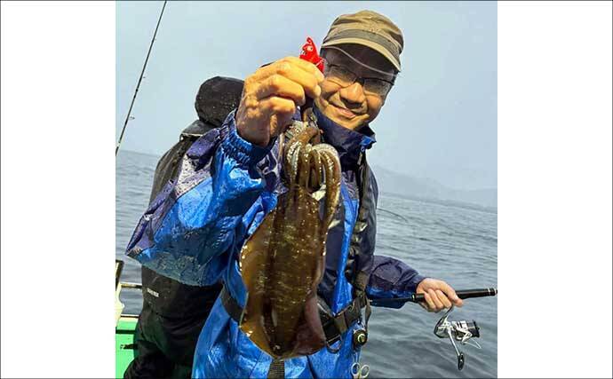 【沖釣りルアー釣果速報】ティップランで釣る人16匹！志摩沖のアオリイカが高活性（三重）