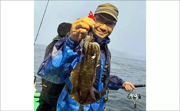 「【沖釣りルアー釣果速報】ティップランで釣る人16匹！志摩沖のアオリイカが高活性（三重）」の画像