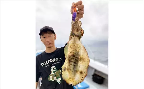 「【沖釣りルアー釣果速報】ティップランで釣る人16匹！志摩沖のアオリイカが高活性（三重）」の画像