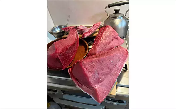 「生まれて初めてキハダマグロ釣りに挑戦！【相模湾】 何もかもが規格外の釣りに圧倒」の画像