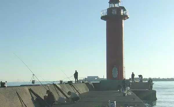 「泉佐野一文字で青物狙いノマセ釣りに挑戦【大阪】本命不発も赤灯台周りで小アジ＆サッパ確保」の画像