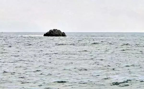 「梅雨前の石廊崎名礁「沖の丸島」でフカセ釣り　40cm級メジナに良型イサキ18匹と好釣果」の画像