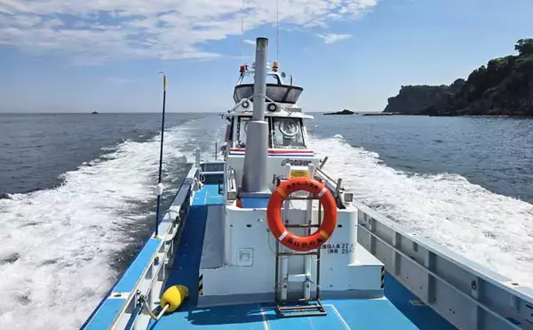 「梅雨前の石廊崎名礁「沖の丸島」でフカセ釣り　40cm級メジナに良型イサキ18匹と好釣果」の画像