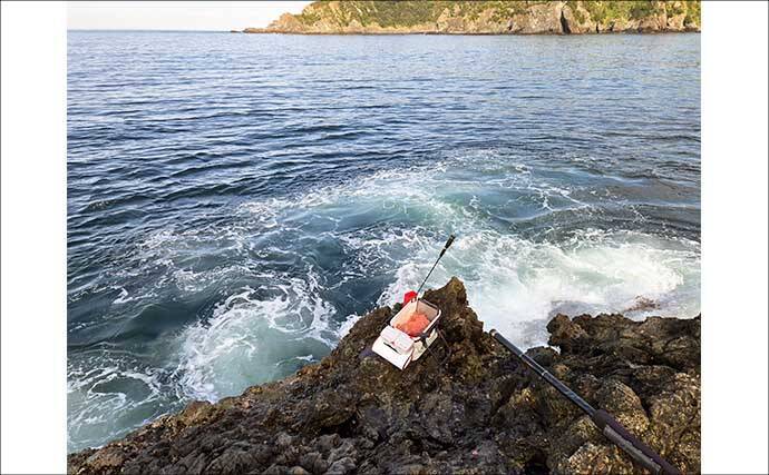 梅雨前の石廊崎名礁「沖の丸島」でフカセ釣り　40cm級メジナに良型イサキ18匹と好釣果