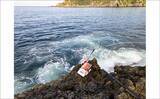 「梅雨前の石廊崎名礁「沖の丸島」でフカセ釣り　40cm級メジナに良型イサキ18匹と好釣果」の画像9