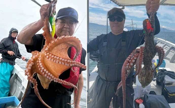 関西エリアの【船釣り特選釣果7選】 イカメタルでスルメ交じりでシロイカ50匹超え！