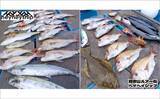「関西エリアの【船釣り特選釣果7選】 イカメタルでスルメ交じりでシロイカ50匹超え！」の画像6