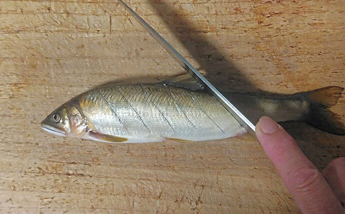 釣った魚で作る「秋の味覚」レシピ：アユの甘みそ焼き　遠火の弱火でじっくり