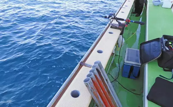 「関東エリアの船マルイカ（ケンサキ）釣り入門　ブランコ仕掛けの釣り方を解説」の画像