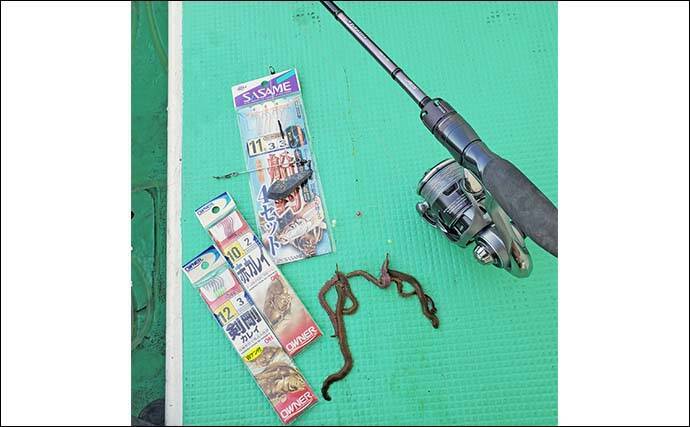 東京湾のマコガレイ釣りで良型浮上！【千葉・林遊船】73cmスズキ乱入の一幕も