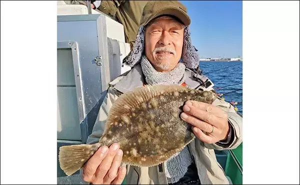 「東京湾のマコガレイ釣りで良型浮上！【千葉・林遊船】73cmスズキ乱入の一幕も」の画像