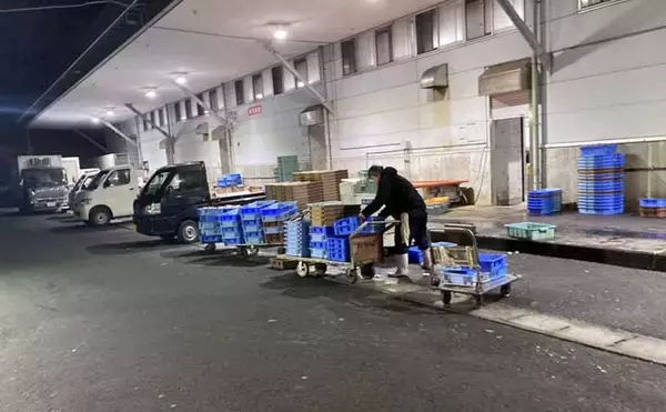 「魚を釣りたいなら朝市に行くべし！　冬はターゲット選定が釣果を大きく左右する？」の画像