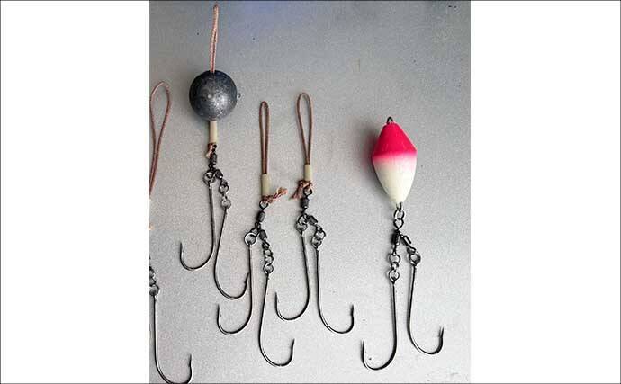 人気急上昇中の「東京湾トラフグ釣り」入門　【タックル・仕掛け・釣り方・注意点を解説】