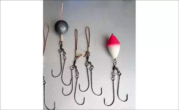 「人気急上昇中の「東京湾トラフグ釣り」入門　【タックル・仕掛け・釣り方・注意点を解説】」の画像