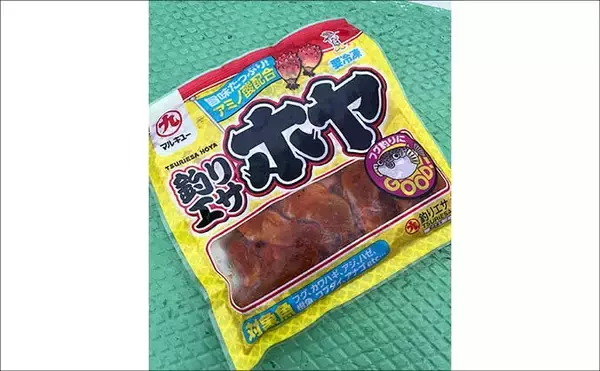 「人気急上昇中の「東京湾トラフグ釣り」入門　【タックル・仕掛け・釣り方・注意点を解説】」の画像