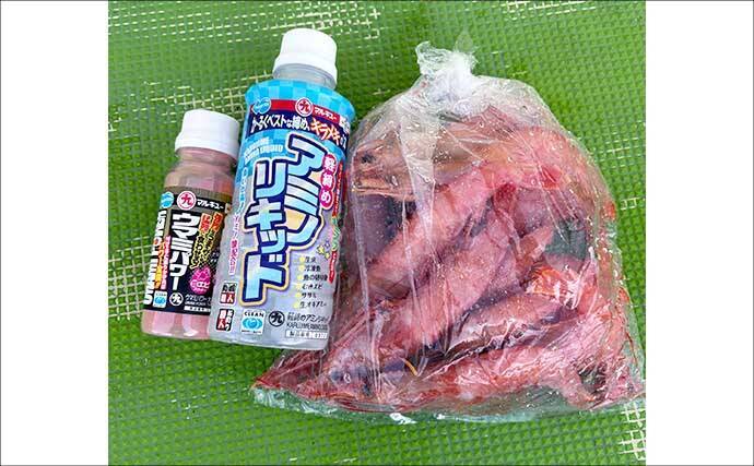 人気急上昇中の「東京湾トラフグ釣り」入門　【タックル・仕掛け・釣り方・注意点を解説】