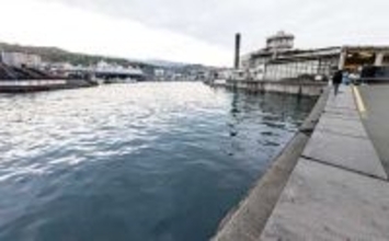 関東エリアのおすすめサビキ釣り場：小田原漁港（早川港）　都心からアクセス良好で周辺観光も可能