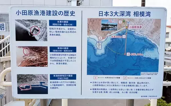 「関東エリアのおすすめサビキ釣り場：小田原漁港（早川港）　都心からアクセス良好で周辺観光も可能」の画像