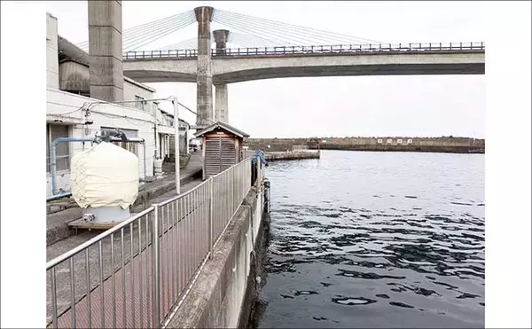 「関東エリアのおすすめサビキ釣り場：小田原漁港（早川港）　都心からアクセス良好で周辺観光も可能」の画像