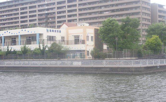 「見えてる魚でも釣れた！」汐見運河での落とし込み釣りでクロダイGET【東京】
