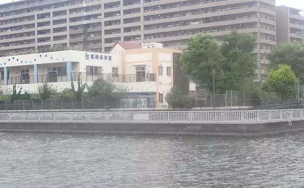 「「見えてる魚でも釣れた！」汐見運河での落とし込み釣りでクロダイGET【東京】」の画像