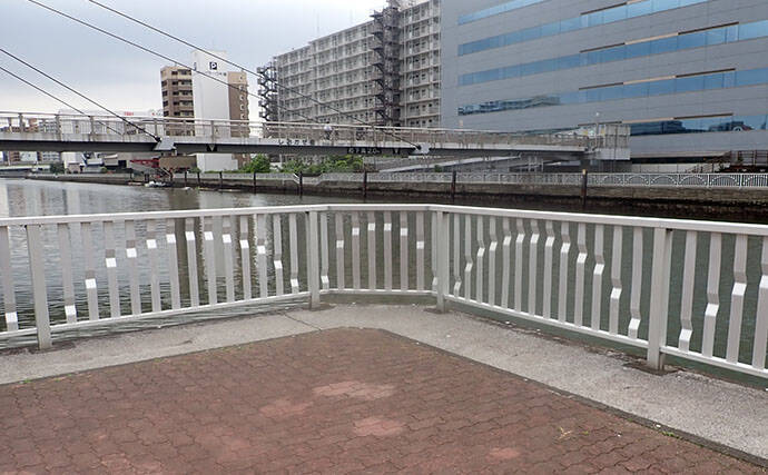 「見えてる魚でも釣れた！」汐見運河での落とし込み釣りでクロダイGET【東京】