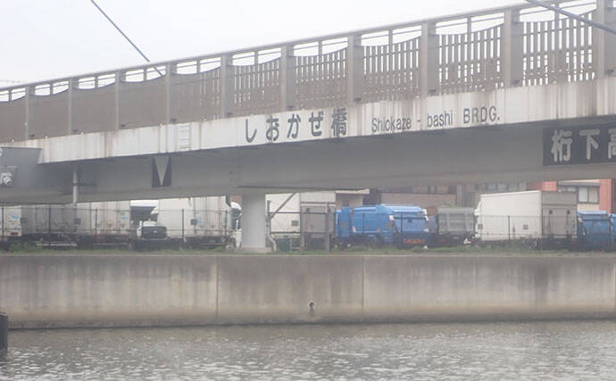 「見えてる魚でも釣れた！」汐見運河での落とし込み釣りでクロダイGET【東京】