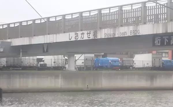 「「見えてる魚でも釣れた！」汐見運河での落とし込み釣りでクロダイGET【東京】」の画像