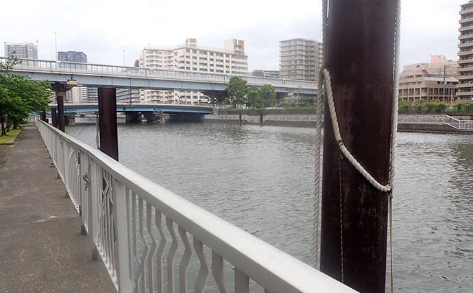 「見えてる魚でも釣れた！」汐見運河での落とし込み釣りでクロダイGET【東京】