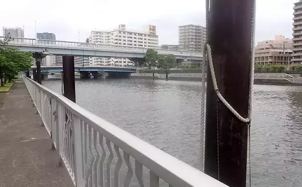 「「見えてる魚でも釣れた！」汐見運河での落とし込み釣りでクロダイGET【東京】」の画像