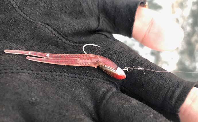 マニアックなワームの話　【リブ・ポケット・パドルテールを解説】