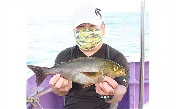 「外房の船イサキ釣りで良型好捕　豪華ゲストにマダイとシマアジも登場」の画像