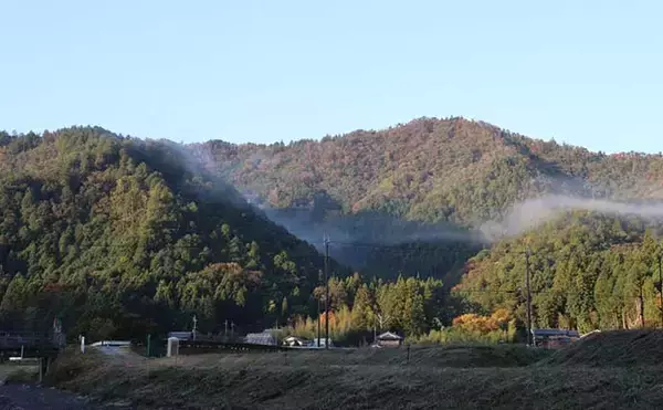 「初のエリアトラウトでニジマス2桁釣果　ブリのバラシをニジマスで癒す？」の画像