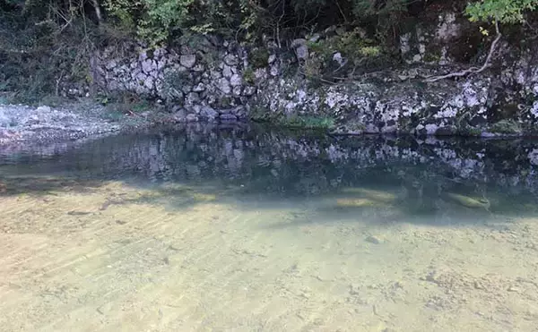 「初のエリアトラウトでニジマス2桁釣果　ブリのバラシをニジマスで癒す？」の画像