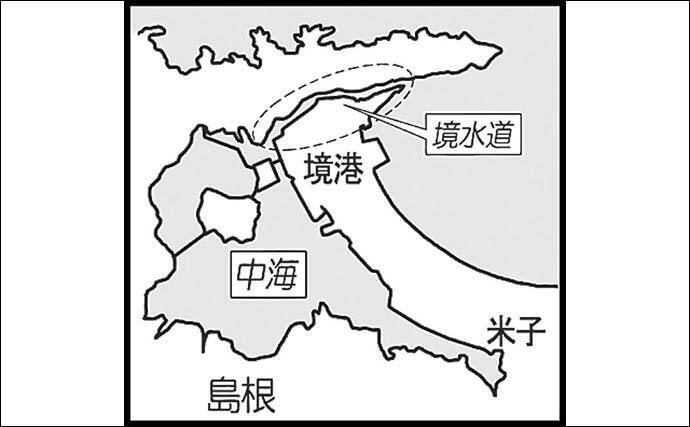陸っぱりルアーシーバス釣りでセイゴ級を数釣り【中海】スピンテールジグで攻略