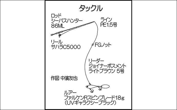 陸っぱりルアーシーバス釣りでセイゴ級を数釣り【中海】スピンテールジグで攻略