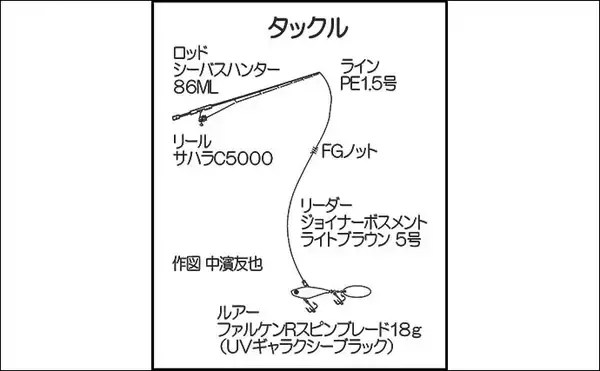 「陸っぱりルアーシーバス釣りでセイゴ級を数釣り【中海】スピンテールジグで攻略」の画像