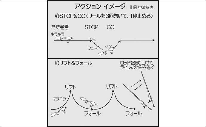 陸っぱりルアーシーバス釣りでセイゴ級を数釣り【中海】スピンテールジグで攻略