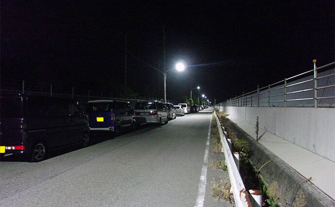 武庫川一文字でのアジのませ釣りで51cmハネ（シーバス）を手中【兵庫】