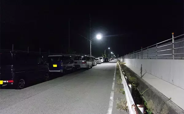 「武庫川一文字でのアジのませ釣りで51cmハネ（シーバス）を手中【兵庫】」の画像